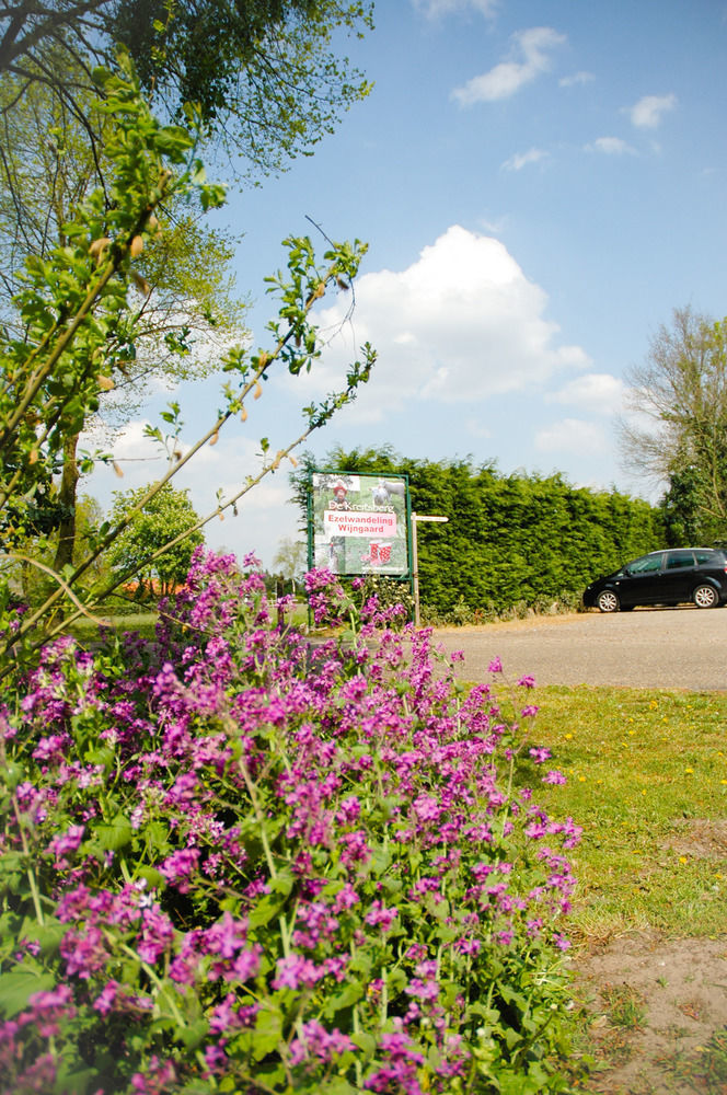 Bed & Breakfast De Kreitsberg Duifhuis Exterior photo